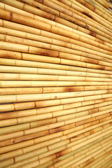 Bamboo cane background texture