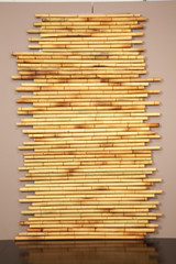 Bamboo cane background texture