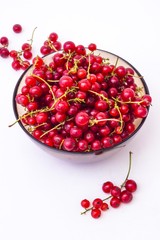 Currant berry