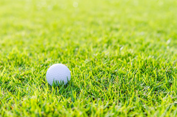 Golf ball on green grass