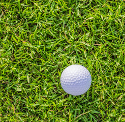 Golf ball on green grass