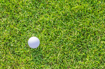 Golf ball on green grass