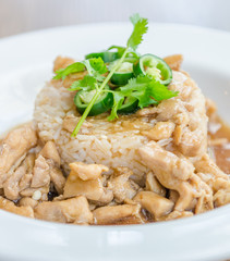 Chicken with brown sauce on rice