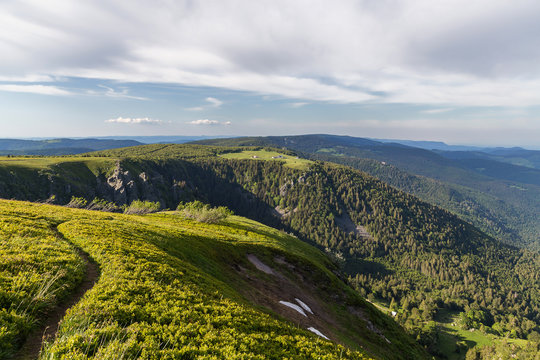 paysage Alsacien