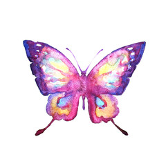 butterflies design