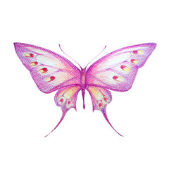 butterflies design