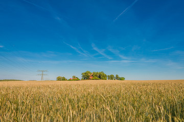 Summer sunset at golden field and windmill, gorgeous nature, Ger