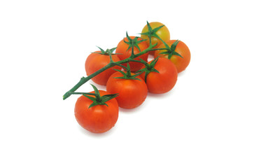 tomatoe 2