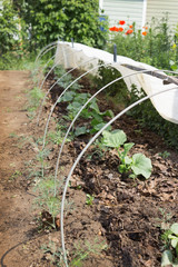 Vegetable bed