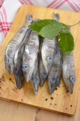 Raw ice fish