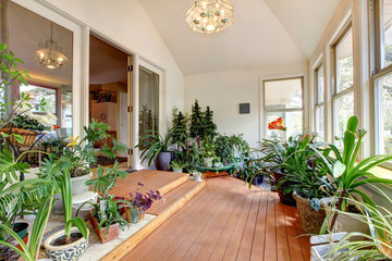 Home greenhouse interior