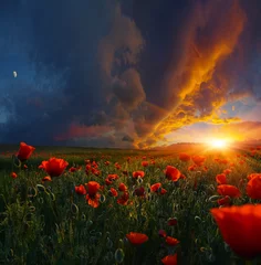 Rolgordijnen Legends of poppy fields © denis_333