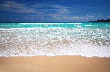 Fototapeta premium Caribbean beach
