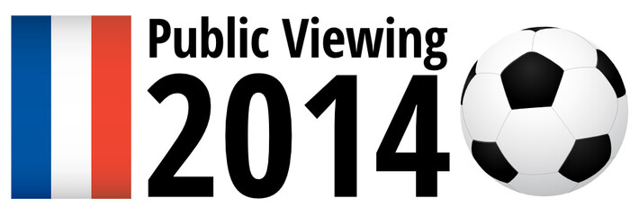 Obraz premium Public Viewing 2014