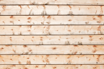 Obraz premium tree texture