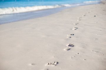 Fototapeta na wymiar Human footprints on white sand beach