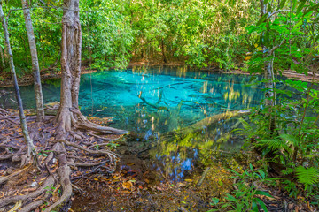 Emerald Pool is unseen pool in mangrove forest at Krabi