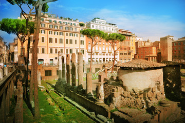Fototapeta premium Largo Argentina
