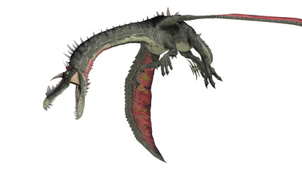 ドラゴン