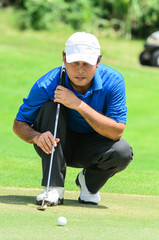 Obraz premium golf player on course putting, he aiming for his put shot