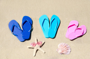 Fototapeta na wymiar Flip flops, seashell and starfish