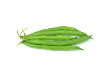common bean