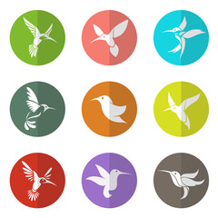 Vector group of hummingbird in the circle