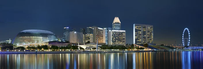 Foto op Canvas Skyline of Singapore at night © leeyiutung