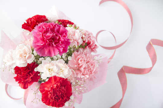 14 852 Best カーネーション Images Stock Photos Vectors Adobe Stock