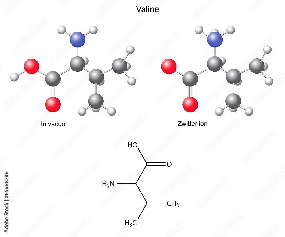 Wall mural Valine (Val) - chemical structural formula and models