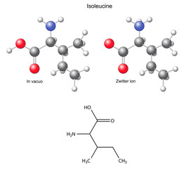 Isoleucine (Ile) - chemical structural formula and models