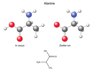 Alanine (Ala) - chemical structural formula and models