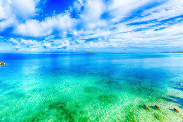 Fototapeta na wymiar Emerald green ocean in Okinawa