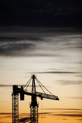 Obraz premium Cranes at dusk