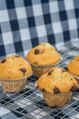 Home made tasty chocolate chip muffins on cooling rack