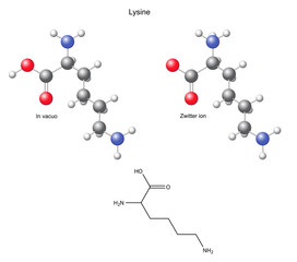 Lysine (Lys) - chemical structural formula and models