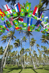 International Team Flags Palm Grove Brazil
