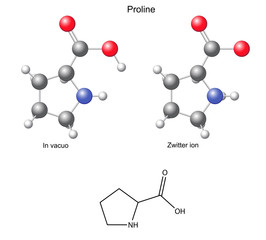 Proline (Pro) - chemical structural formula and models