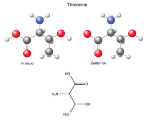Threonine (Thr) - chemical structural formula and models
