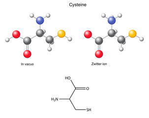 Cysteine (Cys) - chemical structural formula and models
