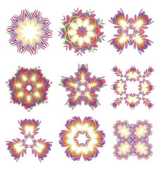 Beautiful abstract flower elements