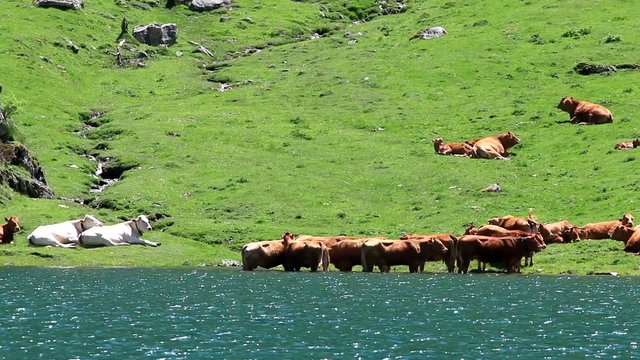Les pieds dans l'eau