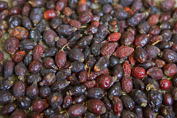 A lot of briar dry, closeup