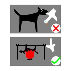 Dog and duck - private attention