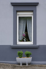 Modernisiertes Fenster mit Rollladen und Blumenkübel