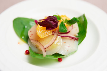Sea scallop carpaccio in plate
