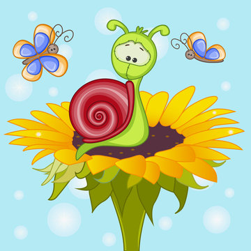 Snail on the flower