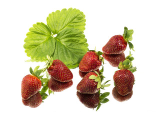 Fresh red ripe strawberries