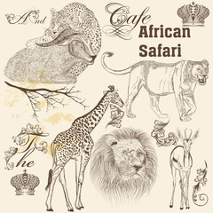 Fototapeta premium Collection of vector hand drawn African animals in vintage st