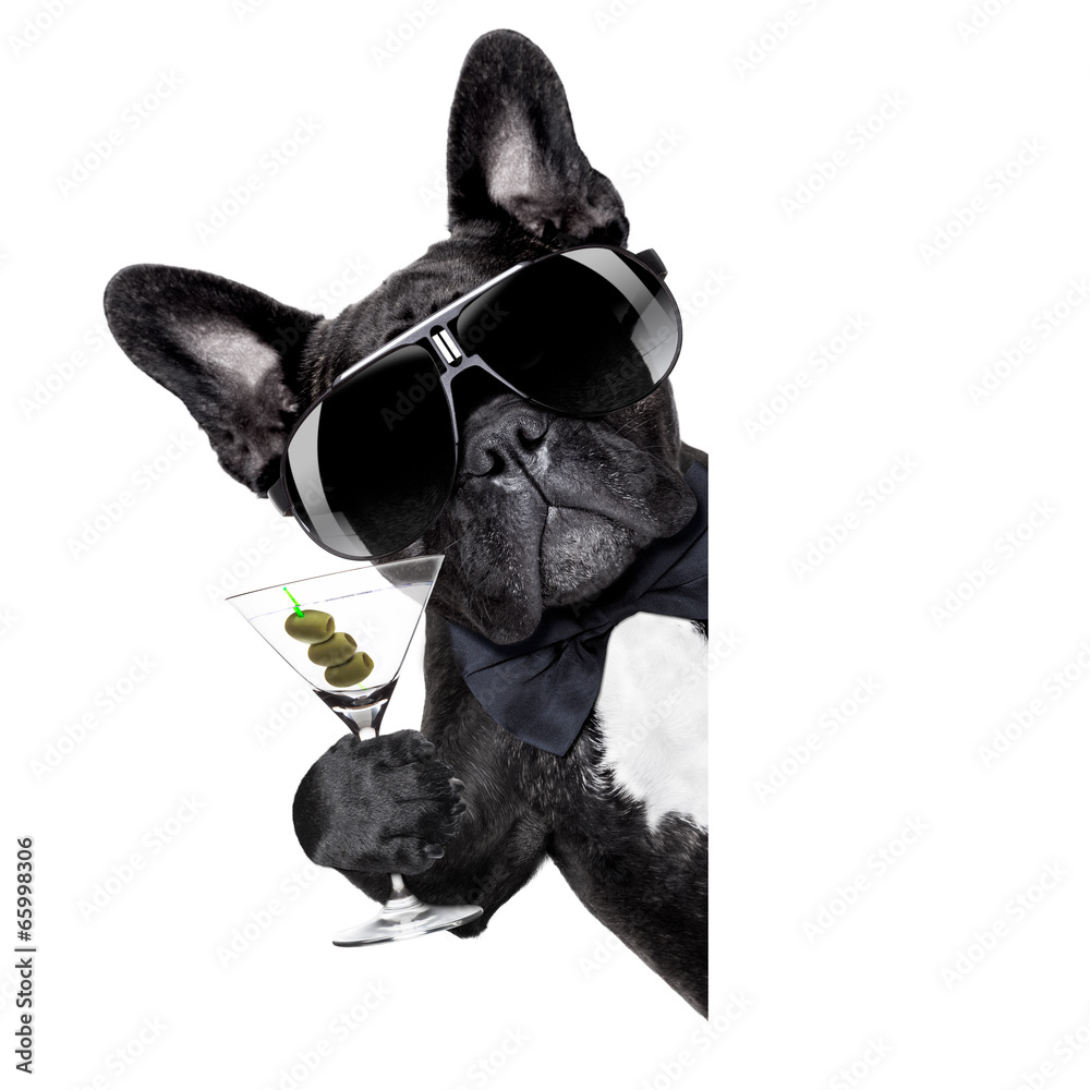 Poster martini dog